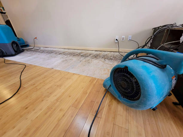 Professional Water Damage Repair technician working in Folcroft, PA